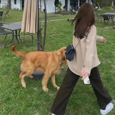 嗨唱转起来第二季